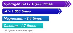 Healthy Water Filtration System Healthy Water Filtration System