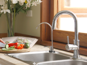 Healthy Water Filtration System Healthy Water Filtration System